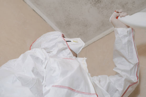 Best Industrial Mold Remediation in Shelby, OH